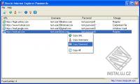 SterJo Internet Explorer Passwords