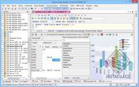 Aqua Data Studio