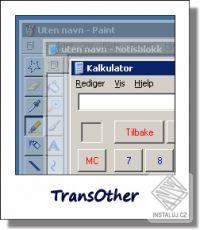 TransOther