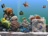 Marine Aquarium