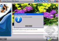 Stellar Phoenix PSD Repair