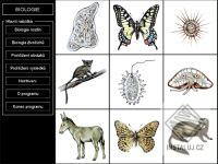 Biologie