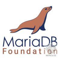 MariaDB Server