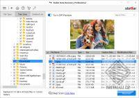 Stellar Data Recovery Professional Windows