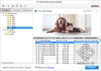 Stellar Photo Recovery Professional