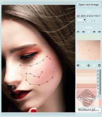 Codijy Colorizer Pro
