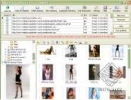 WebPictureGrabber