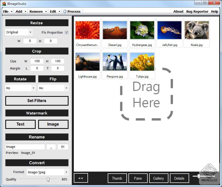 bimagestudio_screenshot_2.jpg