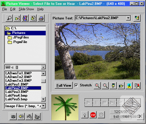 freepics.gif