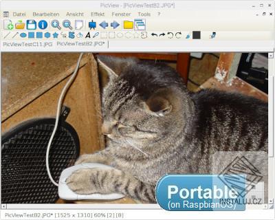 img_picview_portable.jpg