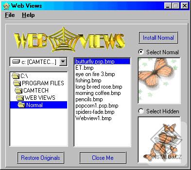webviewsss.jpg