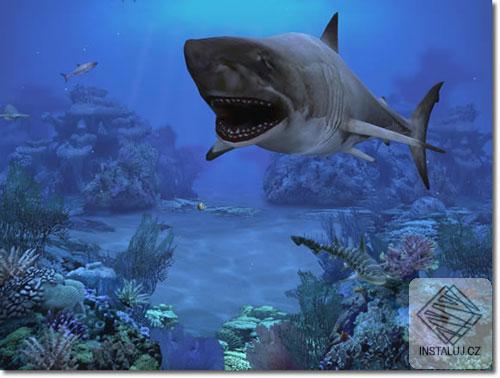 sharks04_r2_c2.jpg